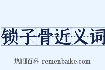 锁子骨近义词是什么意思的图片